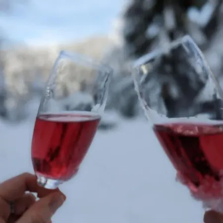 Kopaonicka Prica 公寓