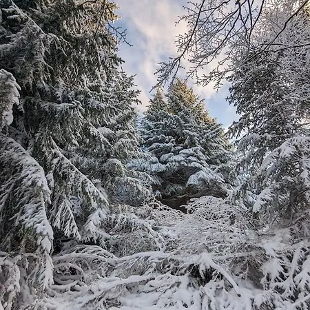 Apartment Kopaonicka Prica *
