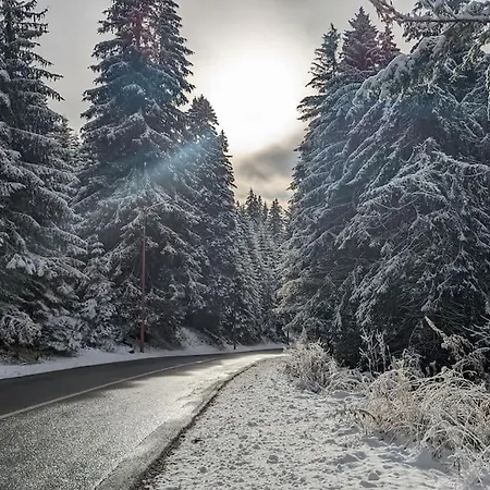 公寓 Kopaonicka Prica