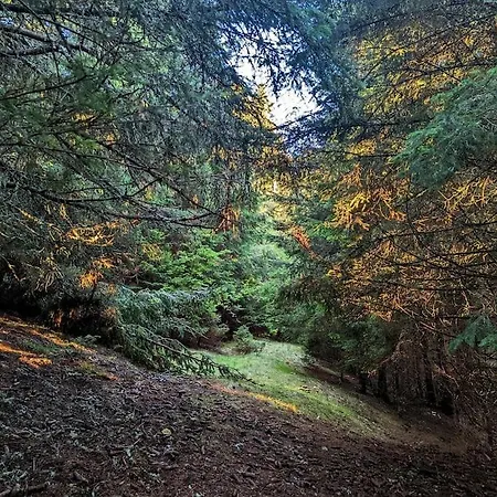 公寓 Kopaonicka Prica