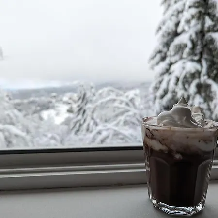 Kopaonicka Prica 公寓 *