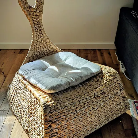 Apartment Kopaonicka Prica *