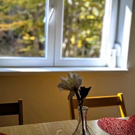 Apartment Kopaonicka Prica *